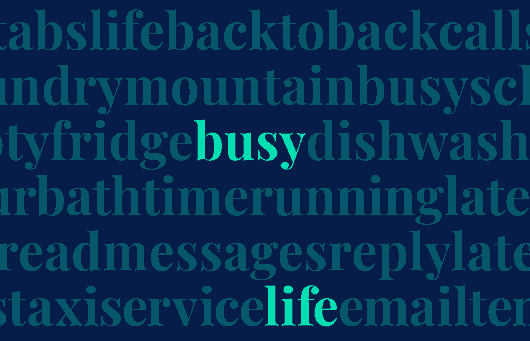 BusyLife-Mobile V3
