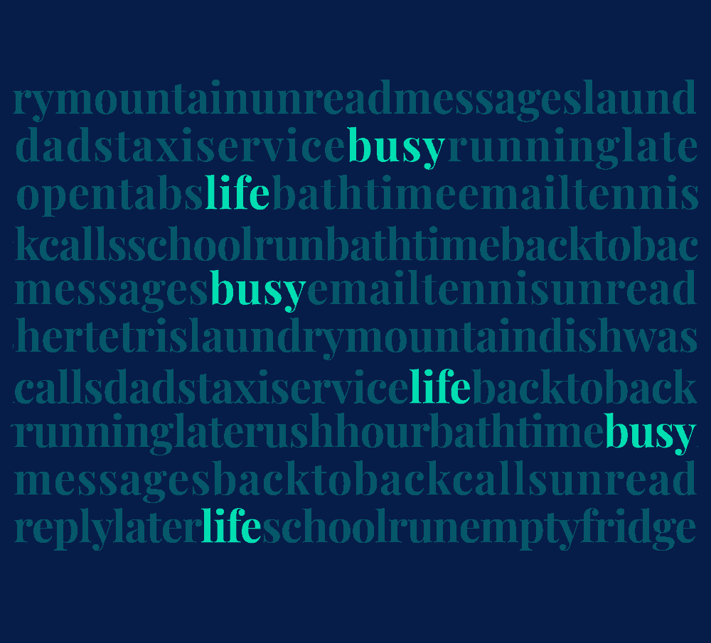 BusyLife-Desktop 25fps V3