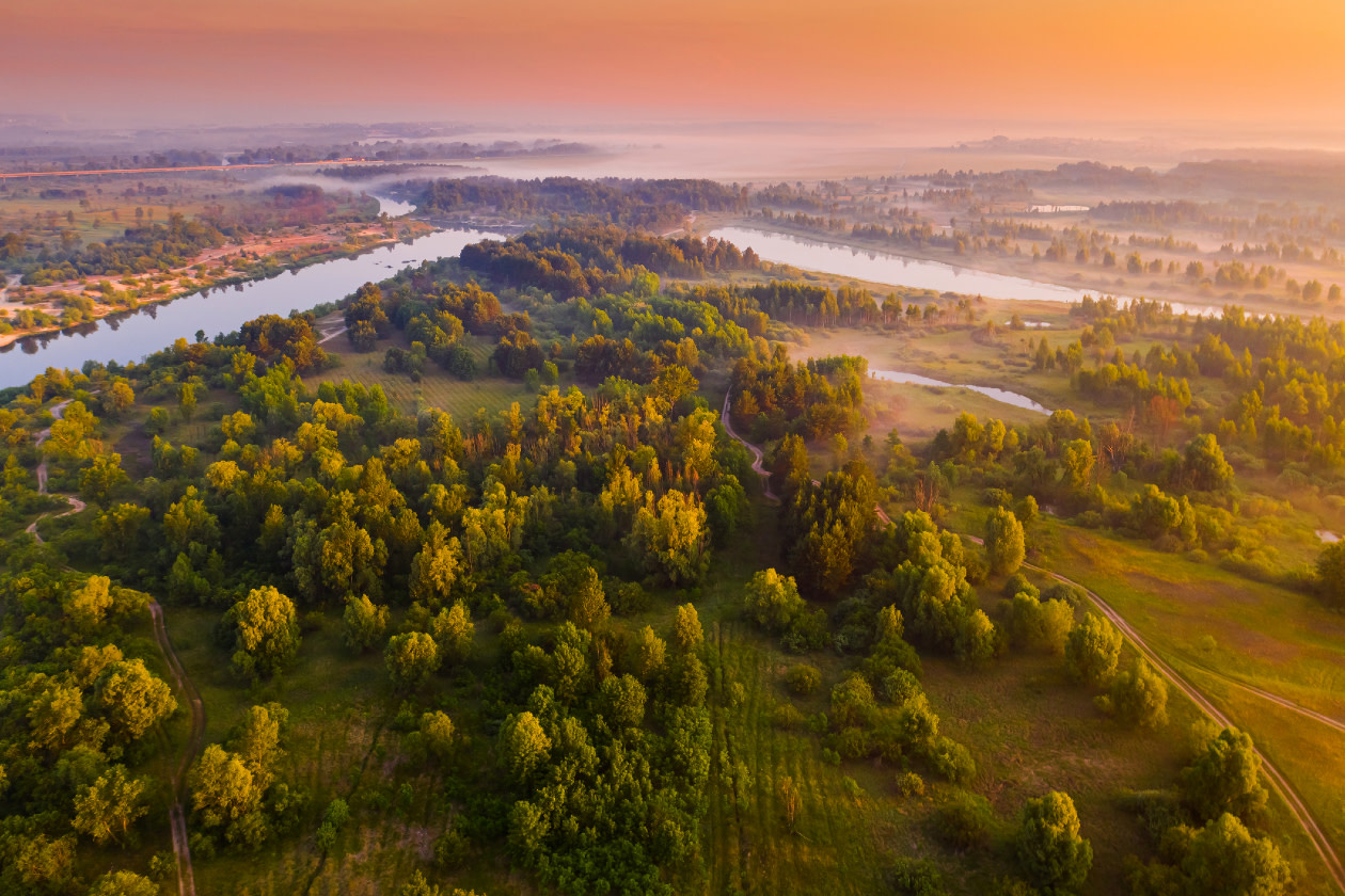 Sustainability. Morning fog aerial view- GettyImages