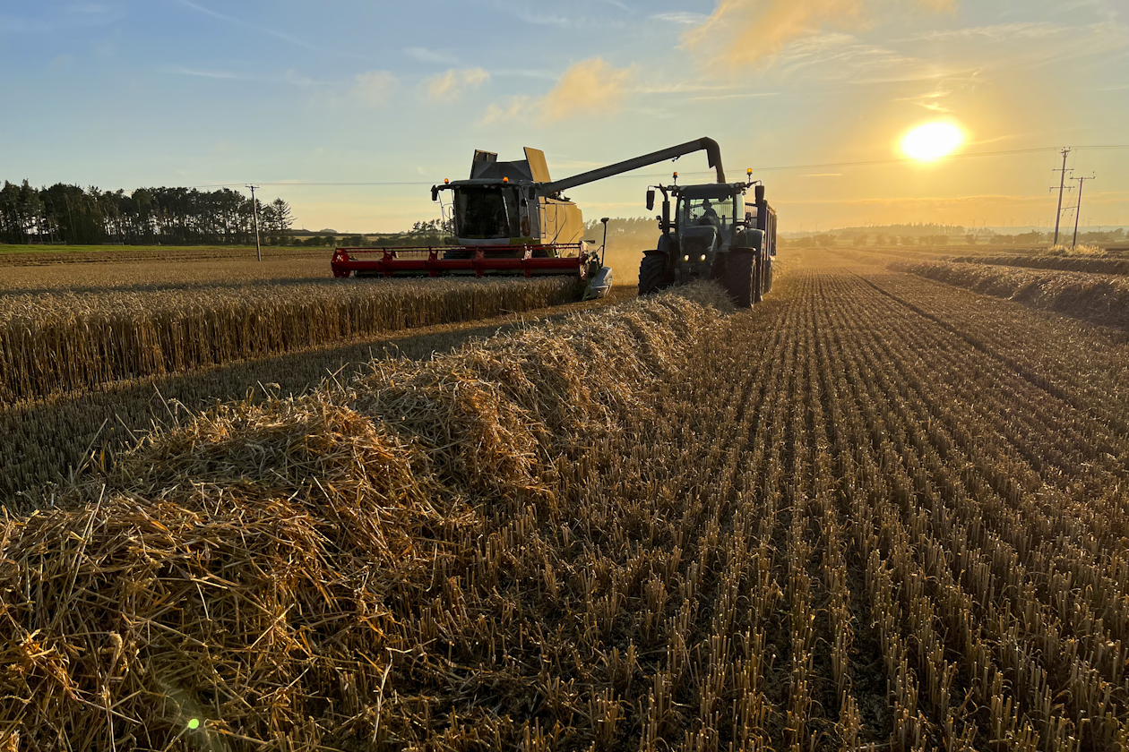 Farmer-s harvesting field at sunset.png