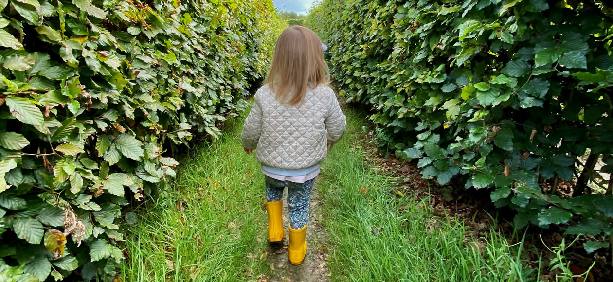 Ryan-s daughter walking through a field.jpg