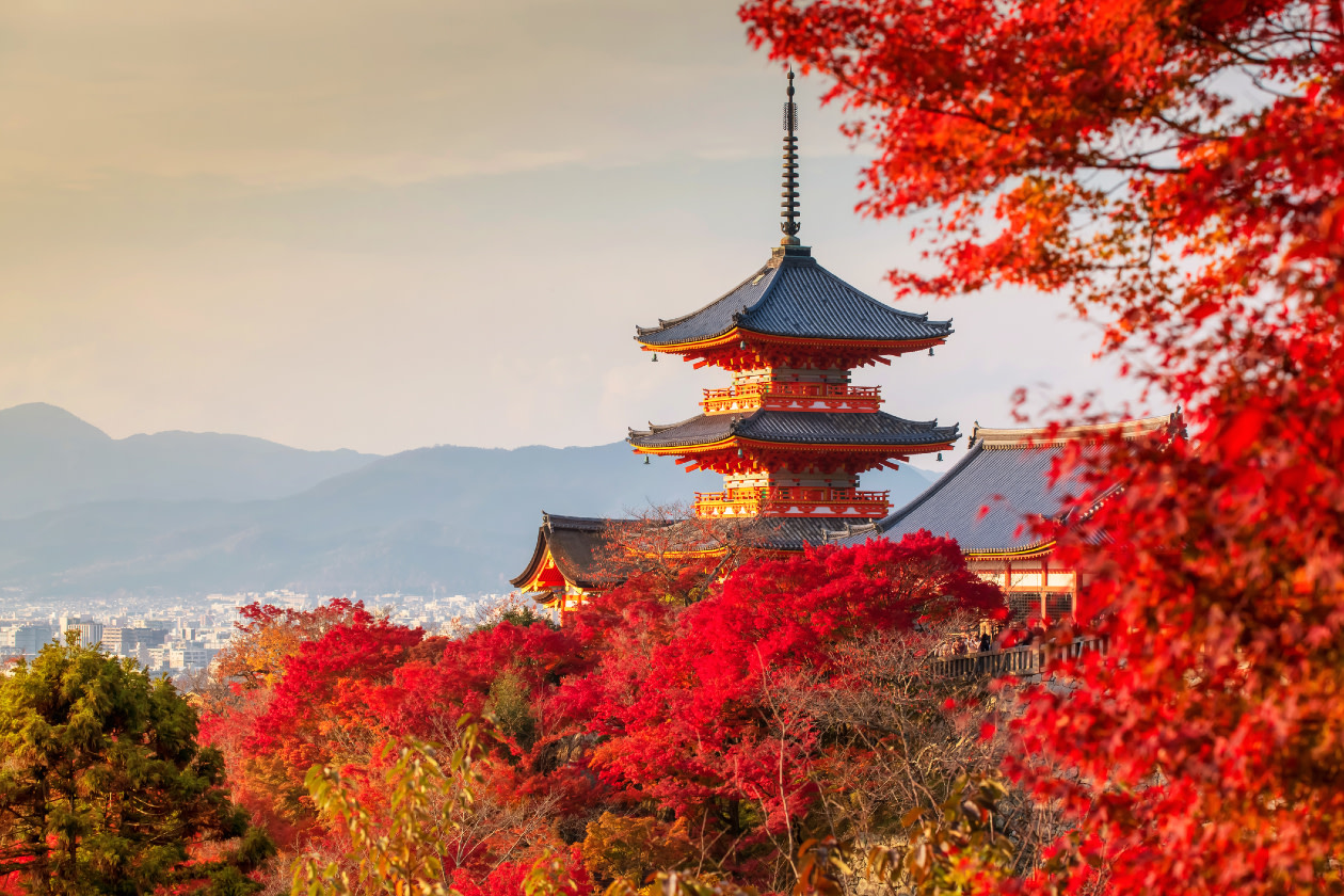 Beautiful sunset view of Kiyomizu dera temple with red maple autumn leaves, Kyoto, Japan.jpg