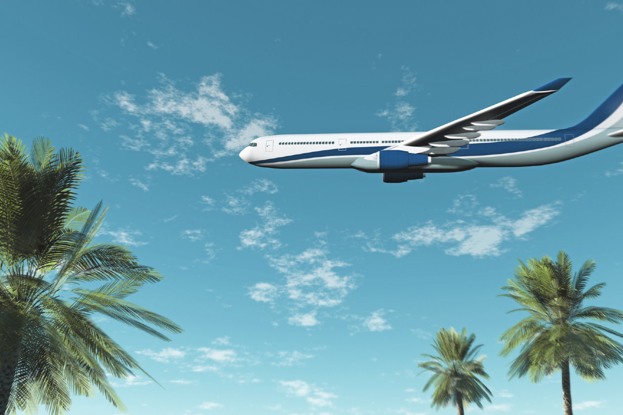 Airbus A330-300 plane landing.jpg