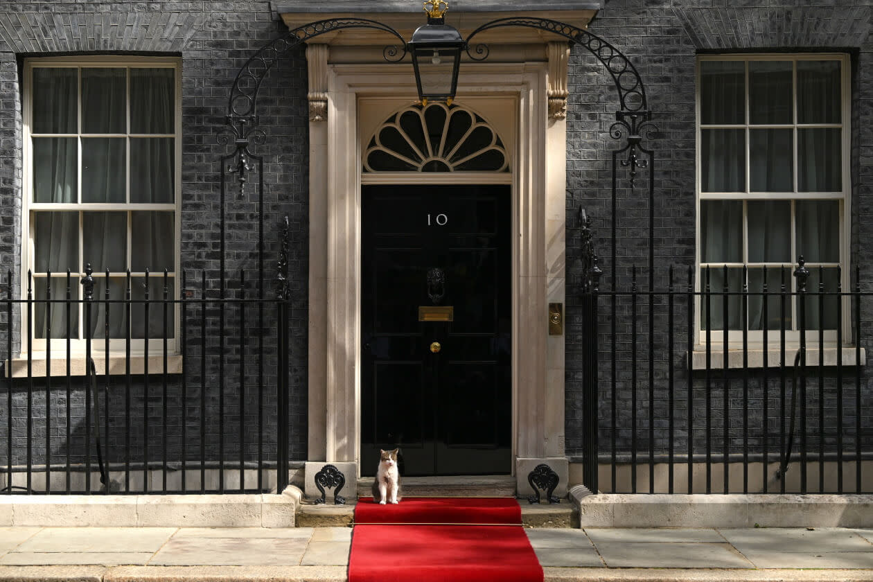 Larry the Cat sits outside 10 Downing Street