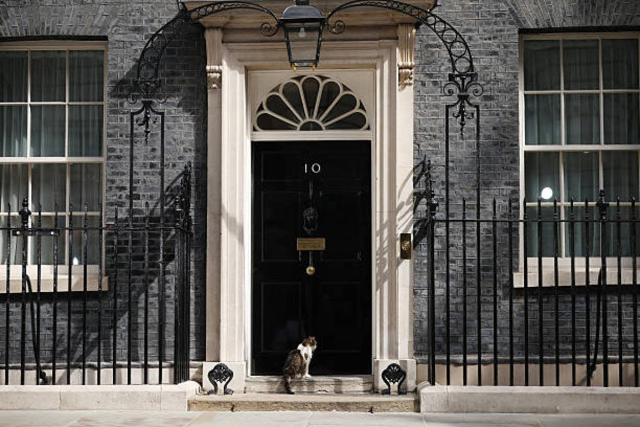 larry the cat number 10
