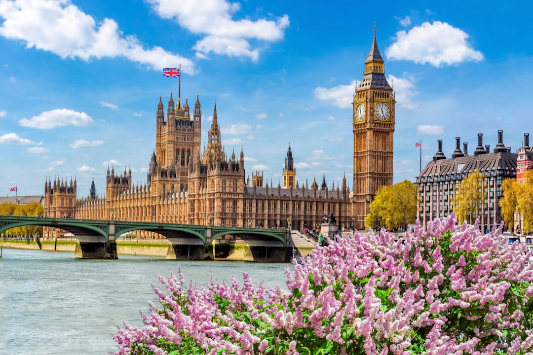 big ben houses parliment spring flowers