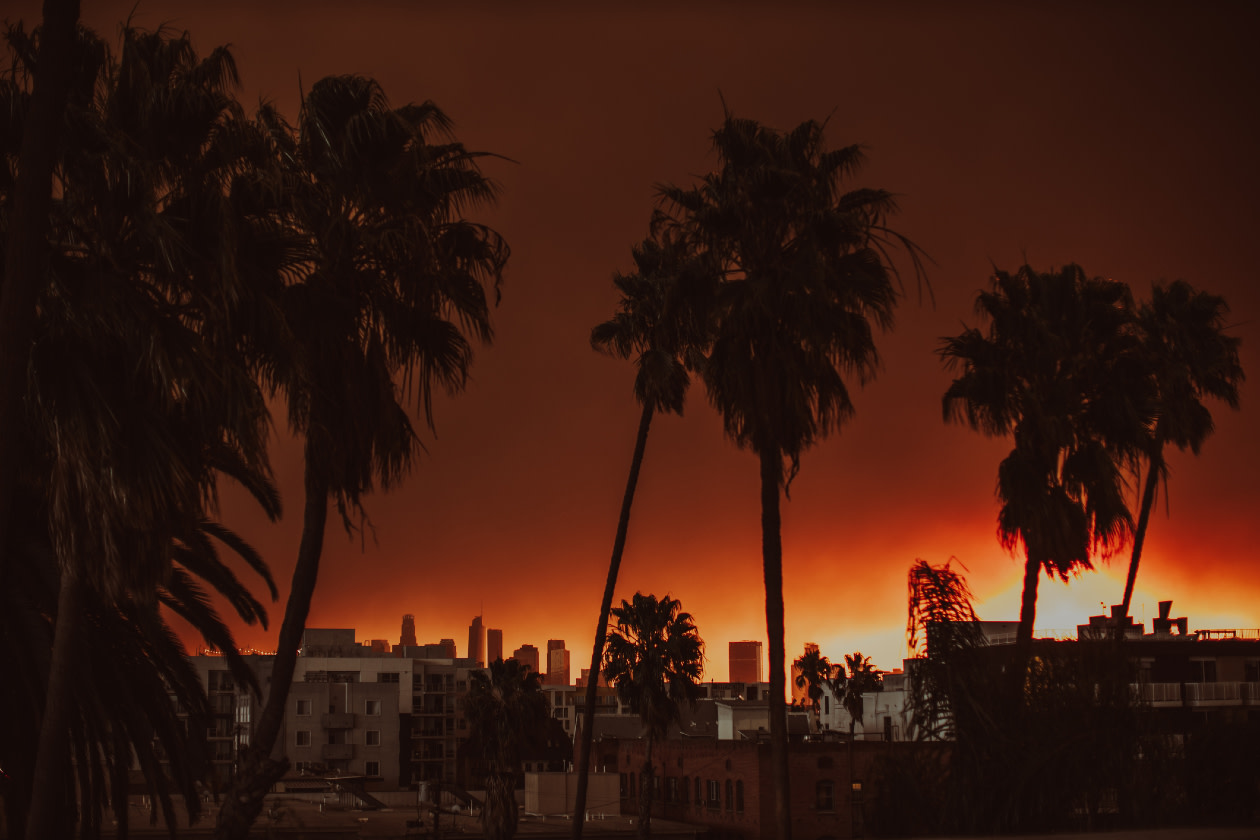 Palisades LA fire view during sunrise.jpg